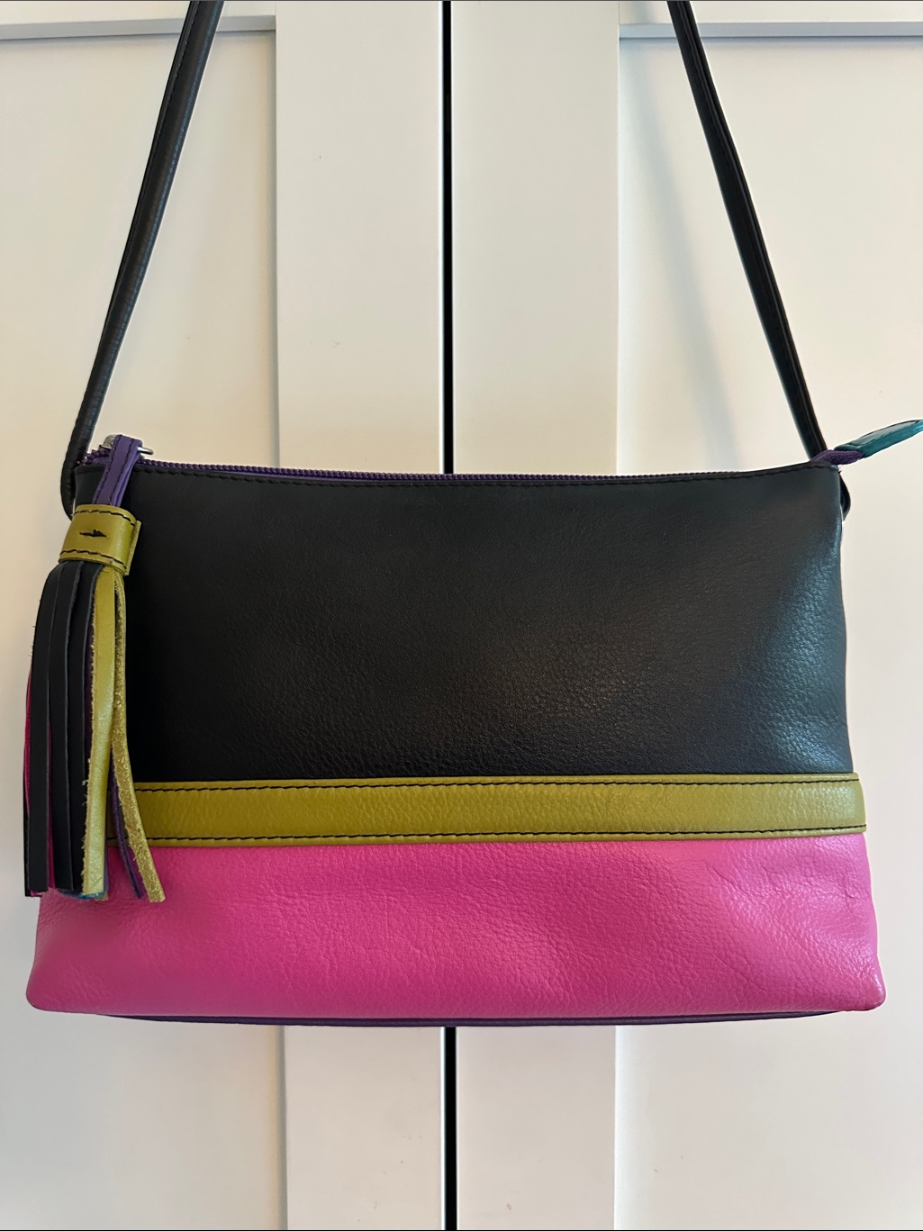 Nwot Ili Multi Color Leather Crossbody